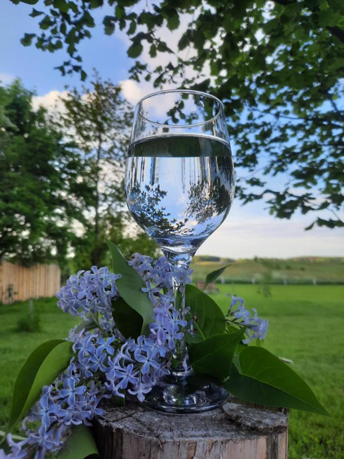 Mazurska Laka * Piecki (Warmian-Masurian)